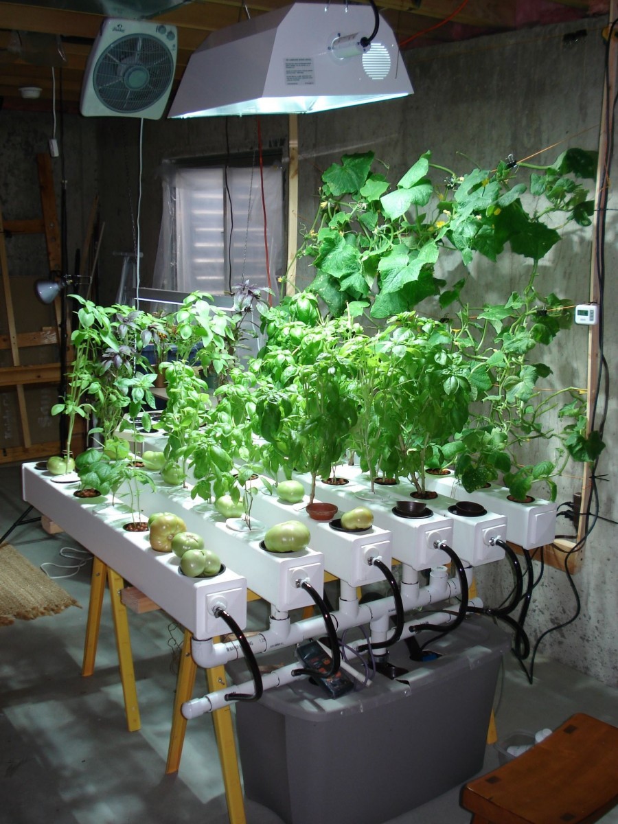 How To Indoor Vegetable Garden At Thomas Bryant Blog