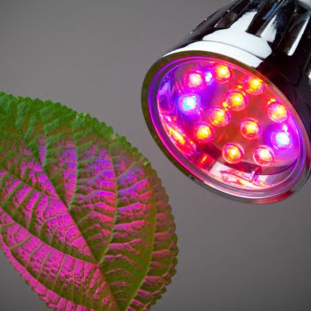 My Top 5 Favorite LED Grow Lights Of 2021 | Grown Indoors.org